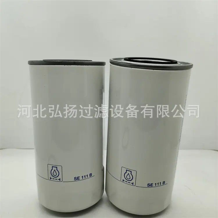 SE111B帕金森