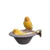Bañeras para Pájaros: Pájaro de Jade, Ave Fénix, Pinzón, Mirlo Dorado, Mirlo Gris, Jilguero Dorado, Canario, Periquito