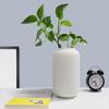 Florero Resistente a Caídas Lujo Ligero Famoso en Internet Florero PET Rompe-Caídas Flor de Lirio que Sube Agua Rosas Flores Sala de Estar Arreglos Florales Adornos