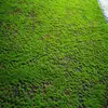 Pared de Planta Artificial de Césped Musgo de Fábrica Paisaje Césped Amarillo Azul Verde Gris Gris Claro Blanco