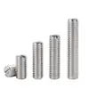 Tornillo de Fijación Plano de Acero Inoxidable 304/201 con Cabeza Ranurada, Tornillo Mecánico sin Cabeza M3M4M5M6-M12