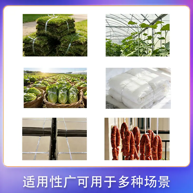 球球主图3