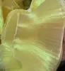 En stock 14cm organza iridiscente degradado plisado falda de disfraz de sirena tridimensional material auxiliar encaje con volantes