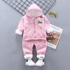 Conjunto de ropa de otoño e invierno para niños y niñas de 0 a 5 años, de seda de leche, con relleno de terciopelo, informal, para bebés y hombres, dos piezas, 2