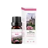 Comercio exterior transfronterizo aceite esencial de aromaterapia soluble en agua humidificador piedra expansora aceite esencial interior armario ambientador incienso fresco