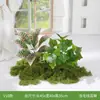 Paisagismo com Combinação de Plantas Verdes, Plantas Artificiais, Musgo Sintético, Decoração de Micro-Paisagem para Cantos Internos, Plantas em Vasos Pequenos