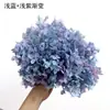 Flores de Hortensia Secas con Degradado Grande Hortensias Conservadas Cabezas de Flores Grandes Color Mixto Multicolor Hortensias Secas Decoración del Hogar Materiales Florales