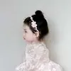 Diadema Floral Estilo Coreano de Hada Moda Versátil Diadema Alto de Corona Nicho Gama Alta Temperamento Accesorio para el Cabello Venta al por Mayor