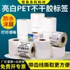 Papel Blanco Brillante para Etiquetas de Mascotas Autoadhesivo 30-100* Pegatinas para Cables para Muebles de Vidrio Impresión, Impermeable, Resistente al Aceite, Resistente a Altas Temperaturas