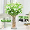 Flores Que Florescem por Muito Tempo e São Fáceis de Cultivar, Lírios, Sino dos Ventos, Flores de Corte Frescas, Plantas Hidropônicas de Cabelo Reto de Yunnan, Rosas, Arranjos de Flores de Interior