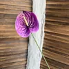 Flor Artificial Personalizada de una Sola Rama Impresa en 3D Película Anturio Rojo Palma Grulla de Fuego Textura Flor Falsa Flor Falsa de Anturio Rojo y Verde Película Roja