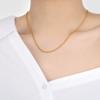 Collar de Cadena Simple Estilo Coreano Chopin Hueso de Dragón Cadena Desnuda Diseño Hebilla M Acero Titanio Collar Moda Mujer Personalizado Chapado en Oro Cadena Clavícula