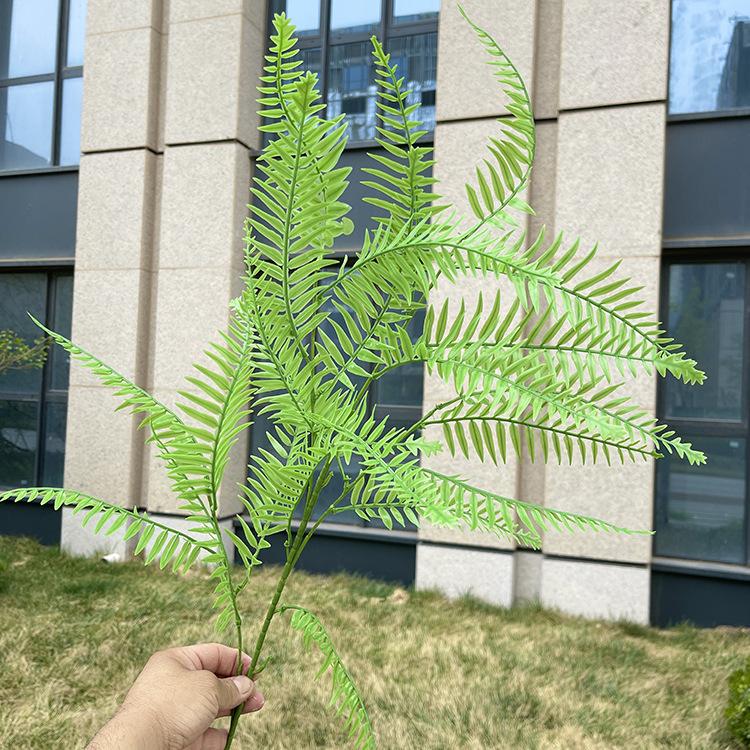 4叉原色波斯草 绿色.JPG