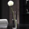 Jarrón de Vidrio Transparente de Alto Borosilicato de Diámetro Pequeño, Tubo Recto Cilíndrico Libre de Burbujas y Resistente a Altas Temperaturas, un Jarrón para Ramo de Flores