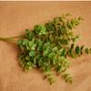 Simulação pequena eucalipto plástico planta verde flor falsa mesa de jantar macia flor fresca pequena engenharia flor atacado