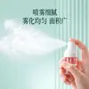 Botellas Recargables de Viaje Botellas de Nano Spray Portátiles Botellas Recargables Tipo Pulsador Botellas de Almacenamiento para Spray de Alcohol Botellas Pulverizadoras Pequeñas Niebla Fina
