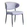 Silla de Comedor Nórdica de Hierro Lujo Ligero Silla con Respaldo para el Hogar Expresión Simple Moderna Creativa Hotel Cafetería Silla Vintage