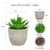 Planta en Maceta Artificial Mini Transfronteriza Hecha a Medida Adornos de Escritorio Bonsái Suculento de Simulación Flor Artificial Planta Verde Pulpa Suculenta Planta en Maceta