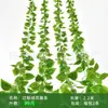 Enredadera Parthenocissus Uva Hoja de Vid Verde Pegada con Goma Decoración de Vid Falsa para Enrollar Tubería Enredadera Verde Plantas Verdes Plantas de Hojas Verdes