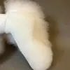 Parches de Piel Sintética para Mascotas Práctica de Esteticista Parches de Pelo de Espalda Pelo de Perro Pelo de Cabeza Esqueleto de Caniche Modelo Oso de Peluche Bichón