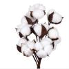 Algodão Natural Flores Secas Recortes Decoração de Cena Arranjo de Flores Ornamentos DIY Buquê de Algodão Flor Seca Natural Algodão