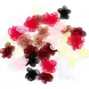 Hilo de nieve de 3 cm flores pentagonales sin hojas decoraciones para ramilletes diy accesorios accesorios de costura para ropa accesorios para el cabello material de cuerda para el cabello