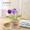 Fio de Crochê Tulipa Transfronteiriço Produto Acabado Flor em Vaso Decoração de Casa Buquê Presente Feito à Mão Flor Artificial Tricotada