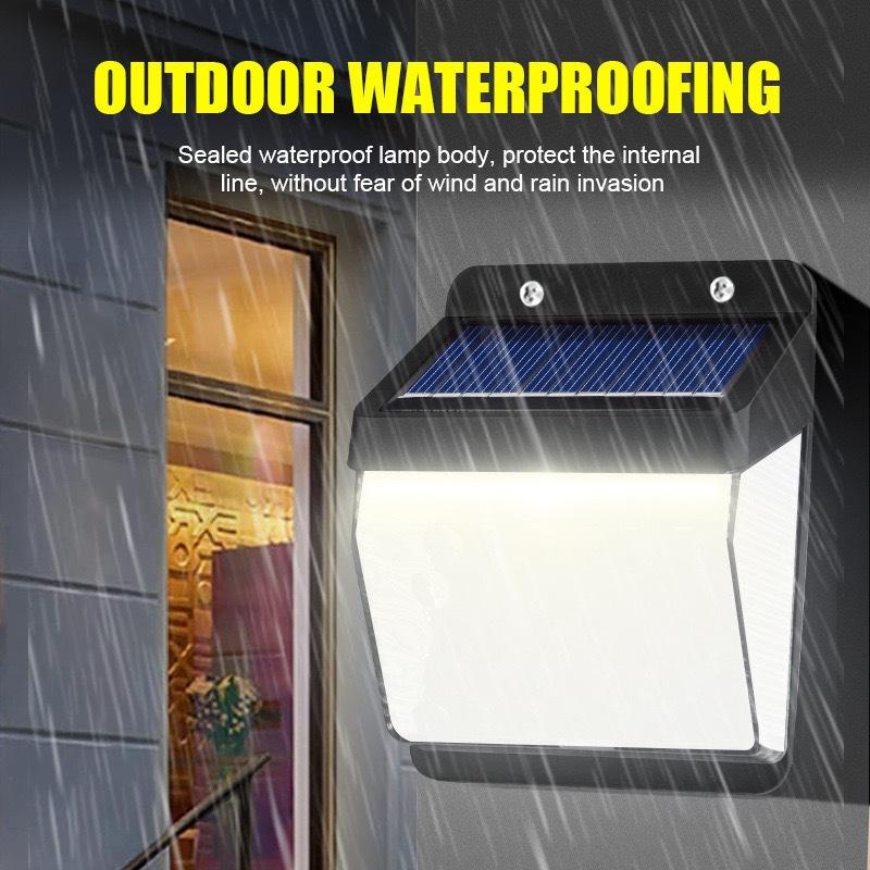 微信图片_202405161547461