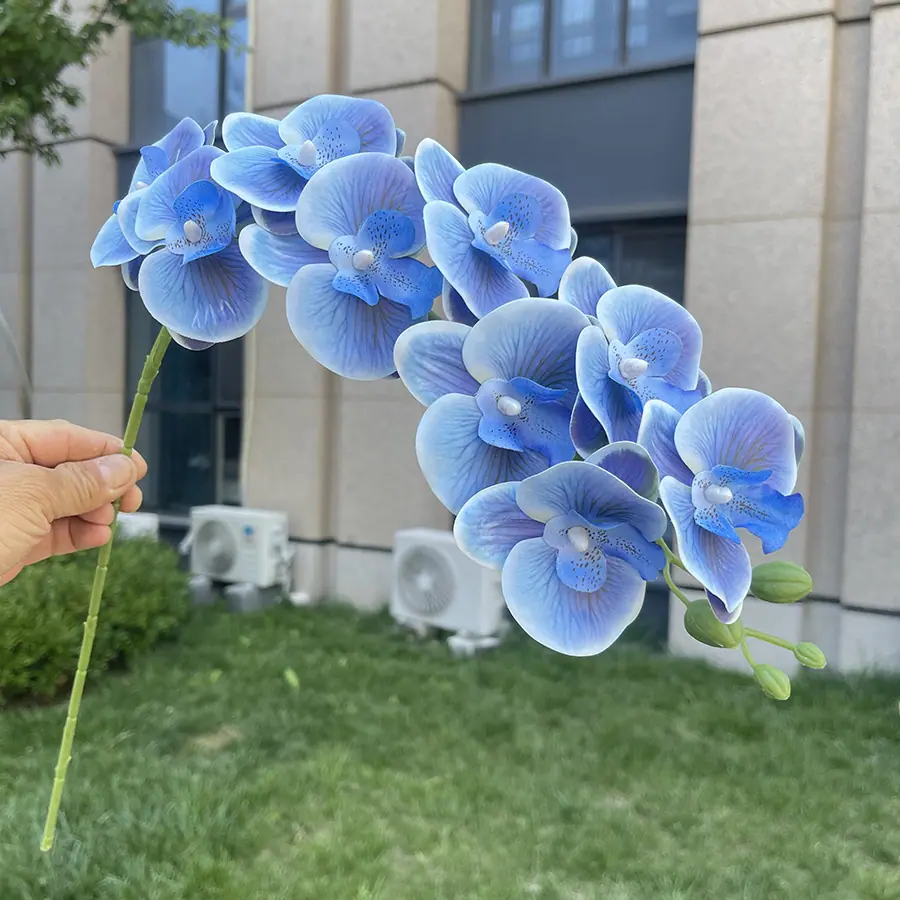 9头短杆3D打印蝴蝶兰-xlmwdx-宝蓝.JPG