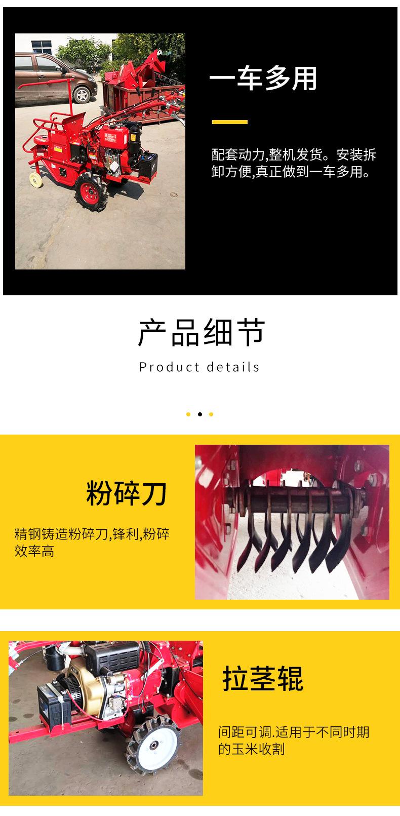 玉米_08
