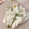 Meias de Algodão Femininas Zhuji Outono e Inverno Novas de Cano Médio Estilo Japonês Cor Sólida Versáteis Boca de Bolha Renda Cano Longo Meias Transfronteiriças Atacado