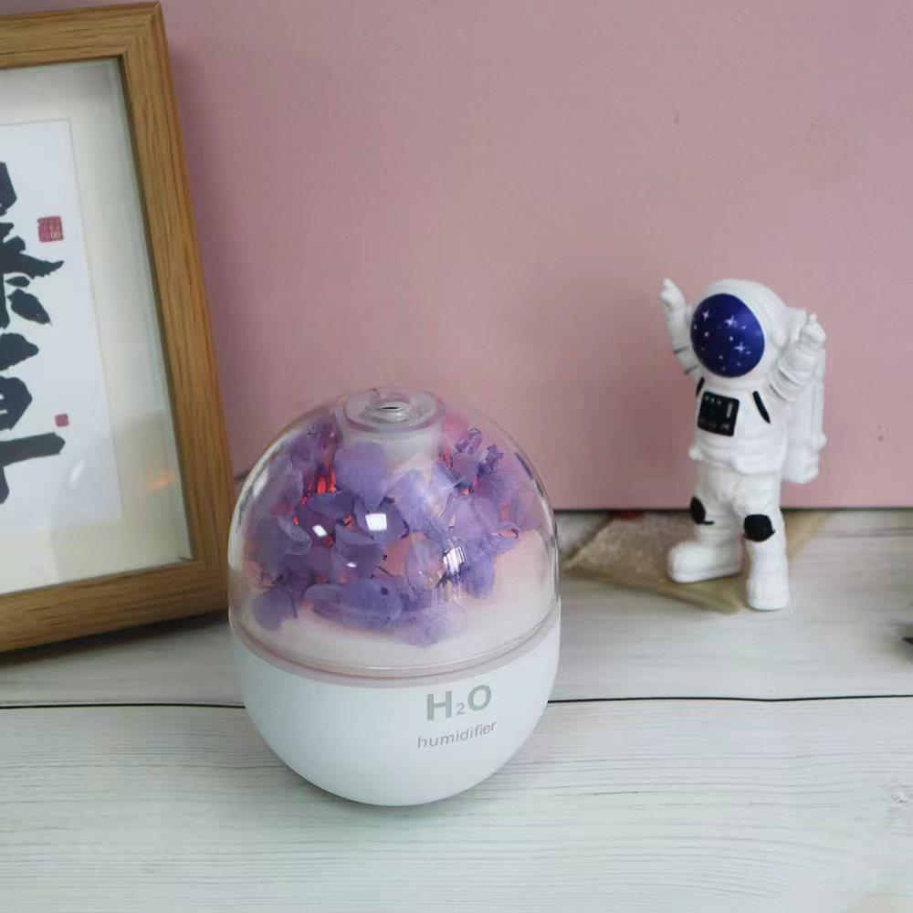 e0eb9fba0fc042d95f956e726c5e26