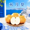 Pera Qiuyue de Laiyang, Shandong, envio direto 3/5/ 4,5kg unidades, redonda, suculenta, crocante e doce, caixa de presente, embalagem colorida, fruta fresca