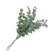 Eucalipto Flor Artificial Sencilla Tacto Eucalipto Hojas de Dinero Recortes Decoración del Hogar Arreglo Floral DIY Hojas de Planta Verde