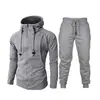Nuevo suéter jacquard deportivo casual para hombre, cárdigan de forro polar con capucha, traje del mismo color