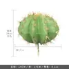 Cacto Cacto Em Vaso Plantas Verdes Falsas Tropicais Paisagismo de Deserto Plantas Verdes Falsas Enfeites Decorativos de Cacto