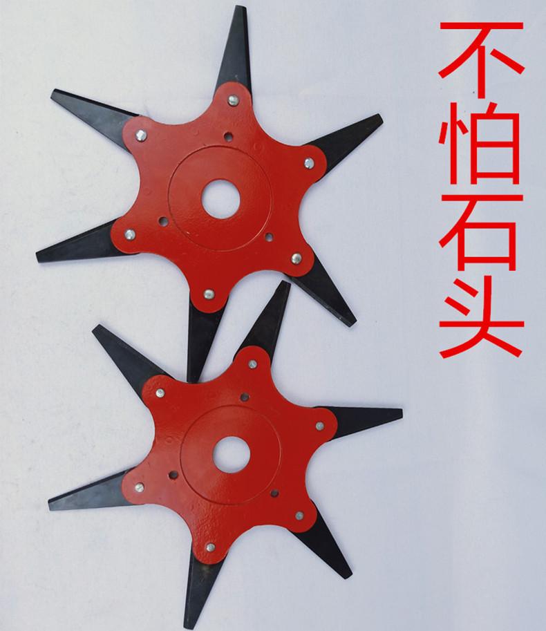 信息1.jpg