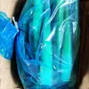 Bolsas Zizania Bolsas Cubo Zizania Bolsas Zizania Bolsas Zizania Bolsas Especiales Zizania Bolsas Azules Zizania Bolsas de Plástico