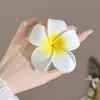 Accesorios para el Cabello de Estrellas de Mar, Flores, Conchas y Bayas de Primavera y Verano, Pinzas Dulces para el Cabello, Pinzas Laterales Serie Océano, Adornos para el Cabello para Vacaciones en la Costa
