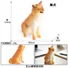 Modelo de animal de simulación para niños mini golden retriever perro león para arenero Shar pige perro manchado perro mascota juego de juguetes