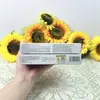Parche de Girasol para el Pecho para Mujeres, Parche de Cuidado Privado del Pecho para Hinchazón y Molestias en el Pecho, Parche de Cuidado del Pecho, Venta al por Mayor de Fábrica