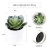 Mini maceta pequeña de loto de agua carnosa verde planta de simulación de plástico esmerilado pequeño bonsái decoración de escritorio regalo simulación carnosa