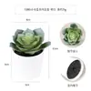 Más de 100 Tipos de Combinaciones de Plantas Suculentas Mini de Plástico Simuladas en Maceta, Mini Bonsáis Suculentos Más Vendidos Transfronterizos, Decoración para el Hogar, Adornos Creativos