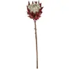 Venda Direta da Fábrica de Galhos Grandes Simulados de Flores Imperiais para Decoração de Casa, Flores Artificiais para Decoração Suave, Arranjos Florais, Decoração de Casa Nórdica
