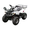 Vehículo Todo Terreno ATV de Playa Cuatro Ruedas Todoterreno Montaña ATV125 Motocicleta Lugar Vehículo Eléctrico para Adultos Fabricante