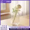 Jarrón de vidrio de estilo europeo simple con patrón transfronterizo para sala de estar del hogar, arreglo floral hidropónico, jarrón de alta gama, en stock, venta al por mayor
