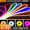 Tira de luz led2835 Flexible Color Neón Marquesina Exterior Bajo Voltaje Impermeable Tira de luz suave Iluminación decorativa traje