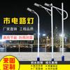 Farola nuevo campo 5/6/7/8/9 metros a prueba de explosiones 100W220V lámpara de poste alto carretera residencial superbrillante led doméstico X20
