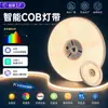 Conectada a la aplicación Mi Home, la tira de luz inteligente permite atenuación y ajuste de color, adecuada para iluminación lineal de sala de estar. Es una tira de luz COB tricolor de bajo voltaje 24V