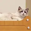 Placa Arranhador para Gatos Cama para Gatos Integrada Villa de Camada Dupla Resistente ao Desgaste Sem Descascar Placa para Patas de Gato Super Grande Espessa Bom Item para Gatos Afiarem as Garras